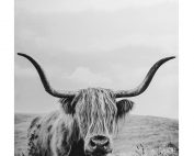 The YAK - Black & White Canvas E533026 177x142 - The YAK - Black & White Canvas