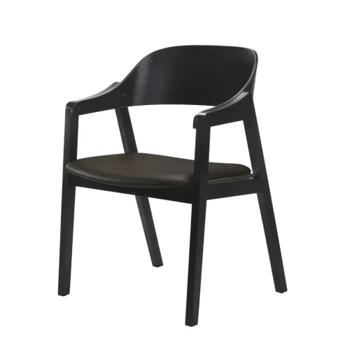Norway Dining Chair Black with Black pu b916d5cc f2ae 4744 a48f 598a7f38df84 1024x1024 500x500 - Norway Dining Chair - Black