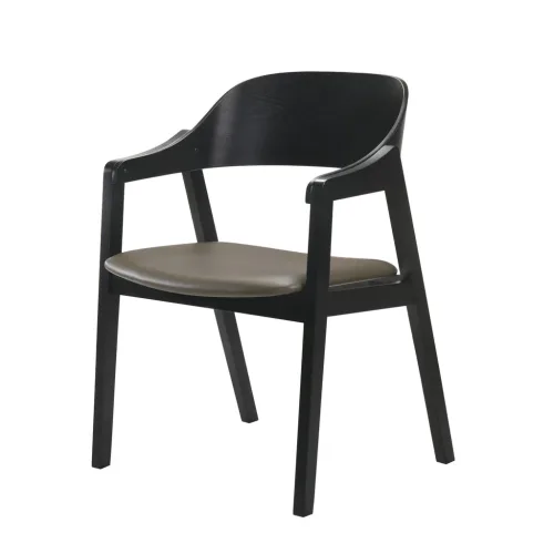 Norway dining chair f4e1d530 1f01 42a6 a368 80bb229fd57b 1024x1024 500x500 - Norway Dining Chair - Black