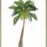 Palm tree duo 66x66 - Norway Dining Chair - Black