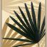 Feather Palm 66x66 - Donkey Print