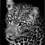 Leopard 66x66 - Chelsea Canvas Print